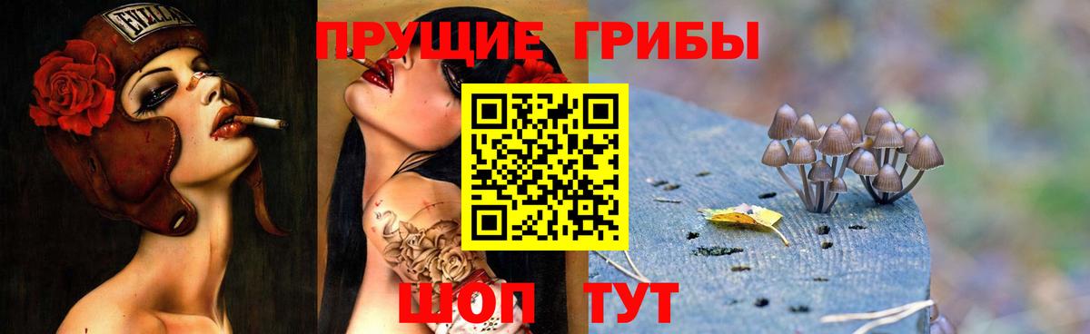 Псилоцибиновые грибы мухоморы Дзержинский